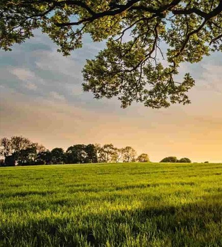 Que tal um terreno para investir ou construir